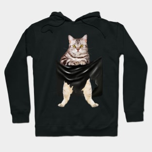 American Shorthair Cat, Love Shorthair Hoodie